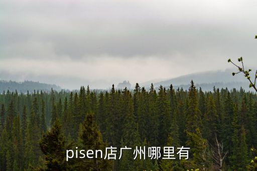 pisen店廣州哪里有