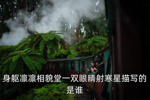 身軀凜凜，身軀凜凜相貌堂一雙眼睛射寒星描寫的是誰