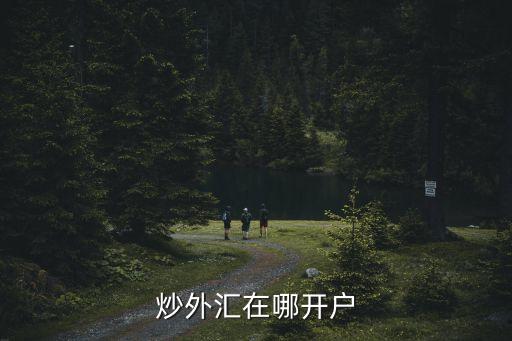 炒外匯在哪開戶，請問我想開個炒外匯的帳戶到哪里去開啊