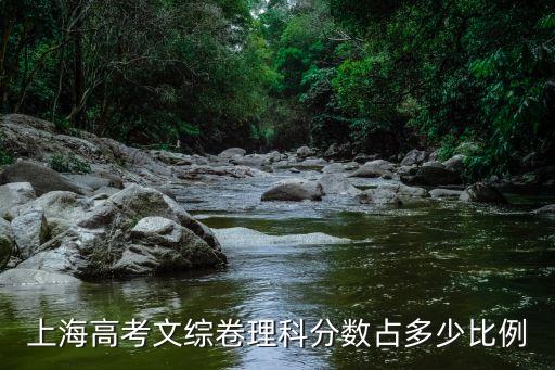 上海市分數(shù)比例，上海高考文綜卷理科分數(shù)占多少比例
