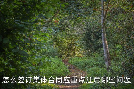 怎么簽訂集體合同應重點注意哪些問題