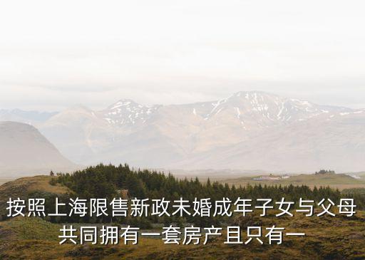 按照上海限售新政未婚成年子女與父母共同擁有一套房產且只有一