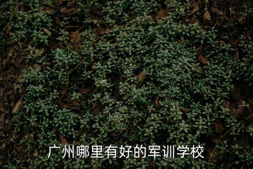 廣州哪里有好的軍訓(xùn)學(xué)校