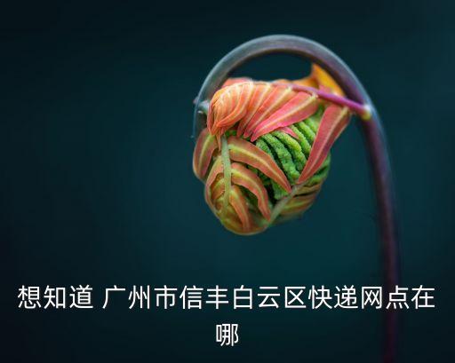 想知道 廣州市信豐白云區快遞網點在哪