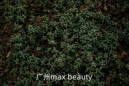 廣州max beauty