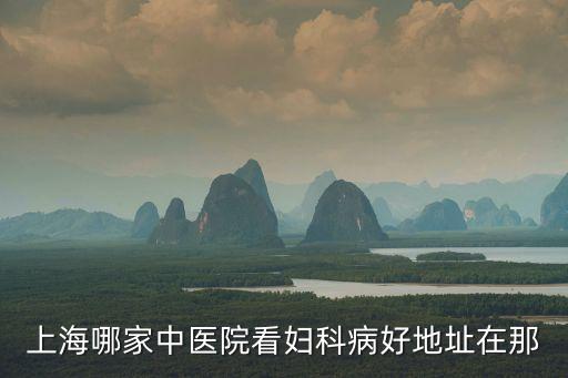 上海哪家中醫院看婦科病好地址在那