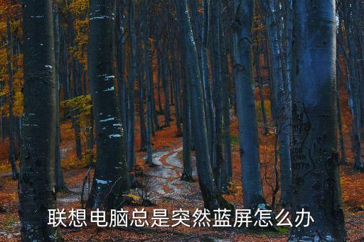 聯想電腦總是突然藍屏怎么辦