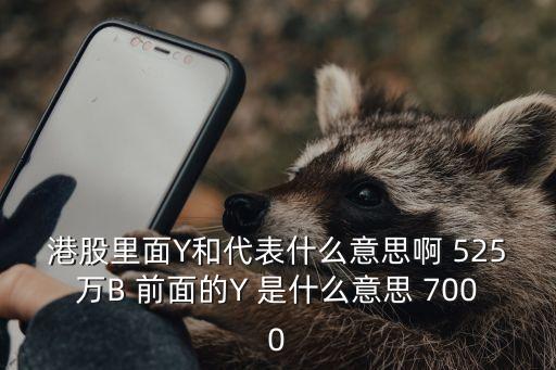 港股里面Y和代表什么意思啊 525萬B 前面的Y 是什么意思 7000