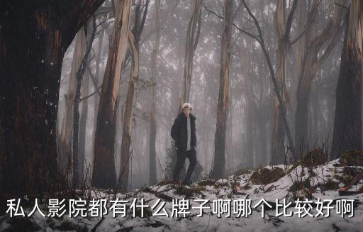 私人影院都有什么牌子啊哪個比較好啊