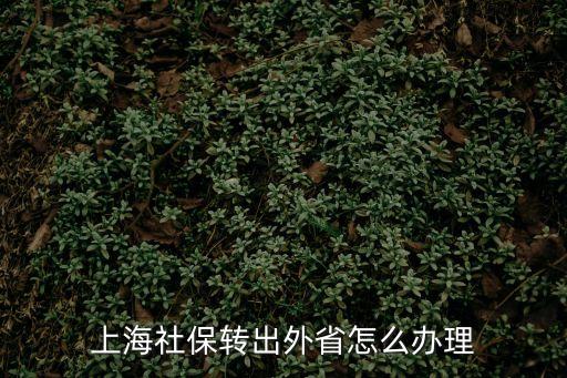 上海市社保轉到外省市，在上海繳納的社保能轉到其他省嗎