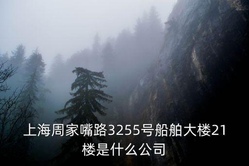 上海市覽海控投集團有限公司地址，大連路990號海上海10號樓1309室是什么公司
