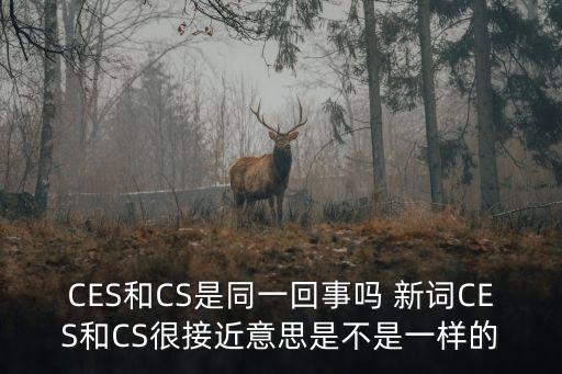CES和CS是同一回事嗎 新詞CES和CS很接近意思是不是一樣的
