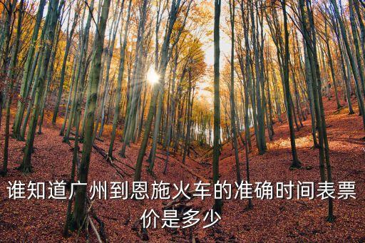 誰知道廣州到恩施火車的準確時間表票價是多少