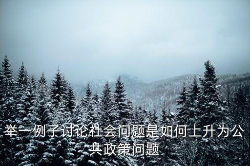 公共政策案例，公共政策現存問題及解決方案最好有案例說明