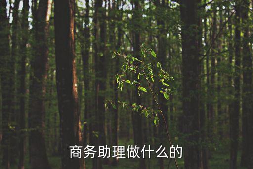商務助理，什么是商務助理 職責是什么 面試商務助理的時候經常會問到什么問題