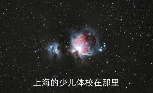 上海的少兒體校在那里