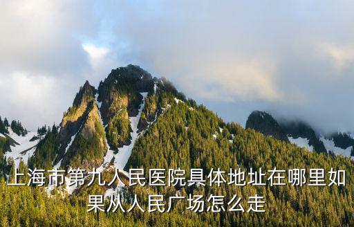 上海市第九人民醫院具體地址在哪里如果從人民廣場怎么走