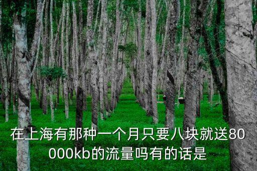 在上海有那種一個月只要八塊就送80000kb的流量嗎有的話是