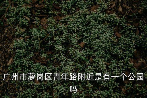 廣州市蘿崗區青年路附近是有一個公園嗎