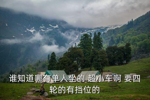 誰知道哪有單人坐的 超小車啊 要四輪的有擋位的