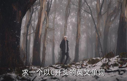 c開頭的英文，c開頭的英語單詞有哪些