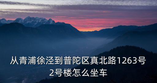 從青浦徐涇到普陀區真北路1263號2號樓怎么坐車