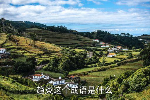 趨炎這個成語是什么