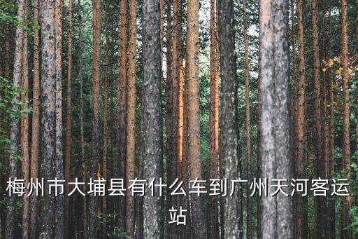 大埔縣到廣州班車，梅州市大埔縣有什么車到廣州天河客運站