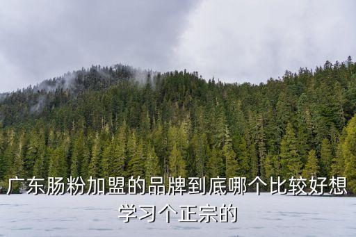 廣州腸粉哪個廠家最好，廣州哪家腸粉最好吃親自吃過