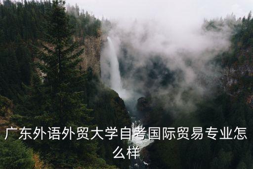 廣東外語外貿大學自考國際貿易專業怎么樣