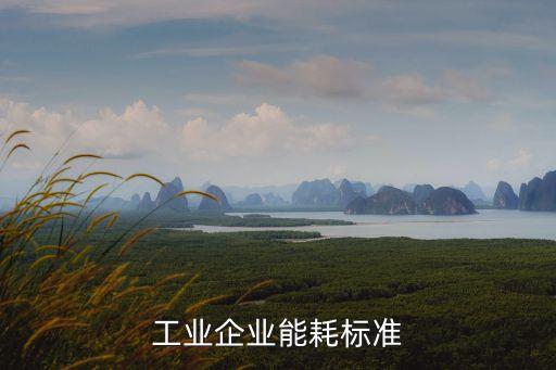 上海市工業能耗限額，上海現在的工業用電一度多少錢