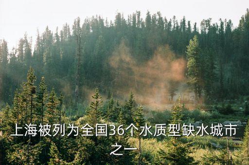 上海市初期雨水水質，上海什么型缺水城市