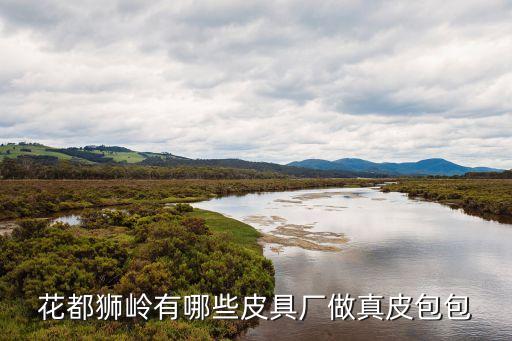 正品柏膚源是廣州花都生產(chǎn)的嗎，發(fā)源于廣州花都的品牌皮具都有那些