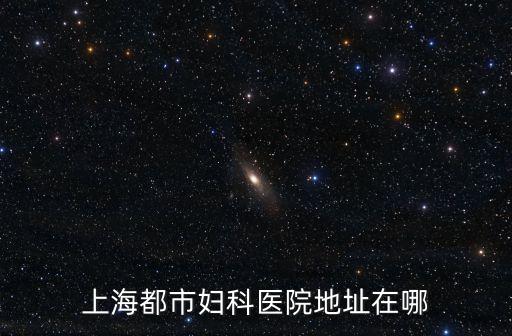上海市張黎明，虹口區鋼琴培訓機構哪家的口碑比較不錯