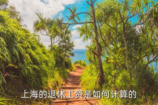 上海市退休養(yǎng)老金計(jì)算實(shí)例，今年上海退休工人張工資怎樣算的阿