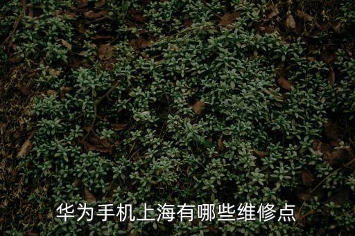 華為手機上海有哪些維修點