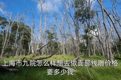上海市第九人民醫院 線雕，上海市九院做線雕手術嗎多少錢