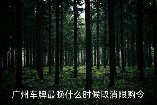 廣州車牌最晚什么時候取消限購令