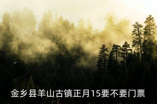 羊山古鎮，金鄉縣羊山古鎮正月15要不要門票
