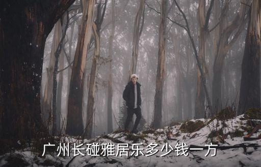 廣州長碰雅居樂多少錢一方