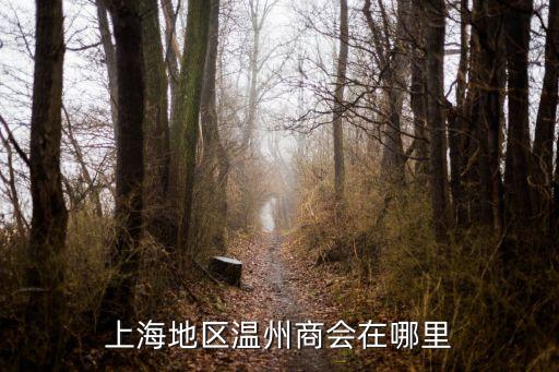 上海市牡丹江路1288號，上海地區溫州商會在哪里