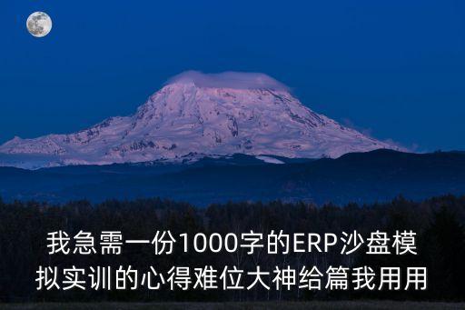 我急需一份1000字的ERP沙盤模擬實(shí)訓(xùn)的心得難位大神給篇我用用