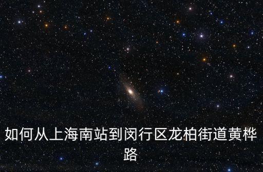 上海市黃樺路291號靠近哪里，如何從上海南站到閔行區龍柏街道黃樺路