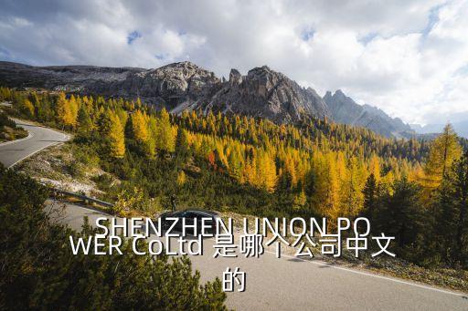 SHENZHEN UNION POWER CoLtd 是哪個公司中文的