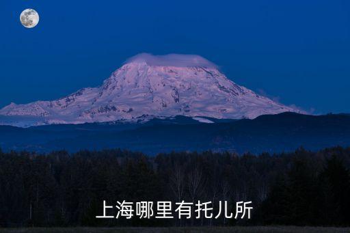 上海市托兒所分布，上海浦東新區(qū)現(xiàn)在哪里有托兒所還可以進