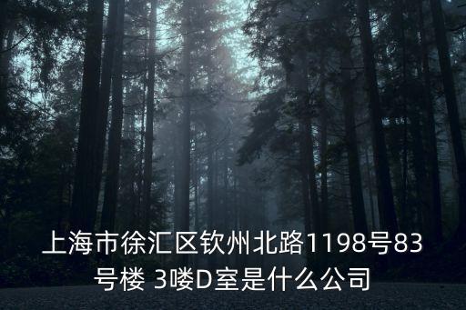 上海市徐匯區欽州北路1198號83號樓 3嘍D室是什么公司