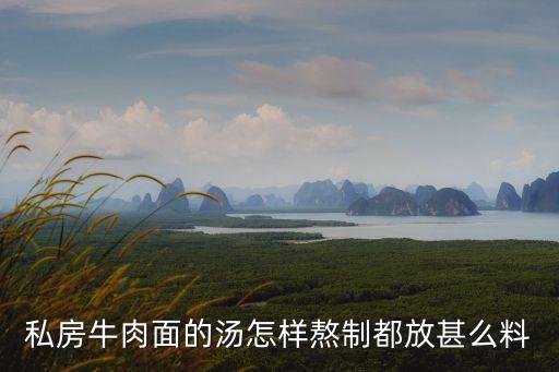 私房牛肉面，康師傅私房紅燒牛肉面怎么樣