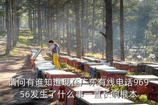 有線電視客服電話廣州96，請問有誰知道現在廣東有線電話96956發生了什么事一直長響根本