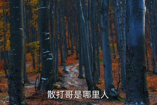 散打哥是哪里人