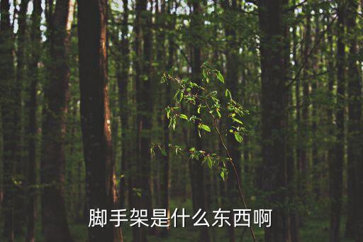 腳手架是什么東西啊